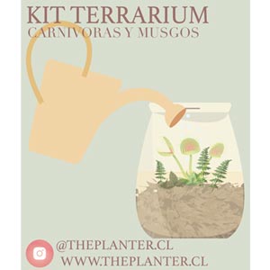 reciclan-the-planter-carnivoras-4