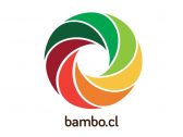 reciclan-bambo