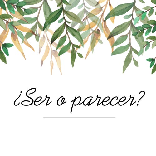 reciclan-ser-o-parecer