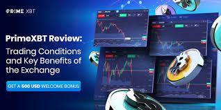 Spot Trading on PrimeXBT Indonesia A Comprehensive Guide -633764608